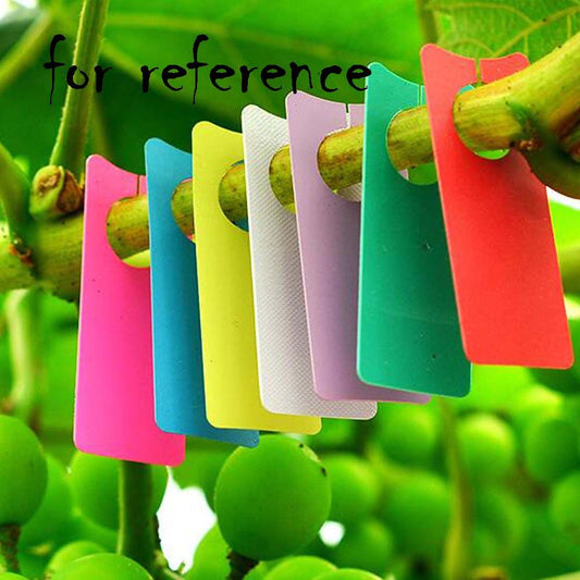 100 Pcs Plastic Plant Labels Nursery Garden Plant Tags Grape Watermelon Pollination Plant Markers, Blue