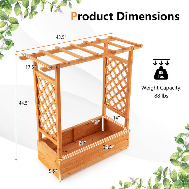 Raised Garden Bed with Trellis or Climbing Plant and Pot Hanging