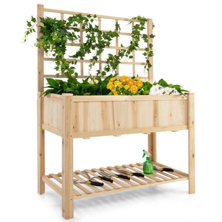 Raised Garden Bed Elevated Wooden Planter Box with Trellis