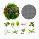 2 Pack Square Framed Artificial Foliage Wall Art
