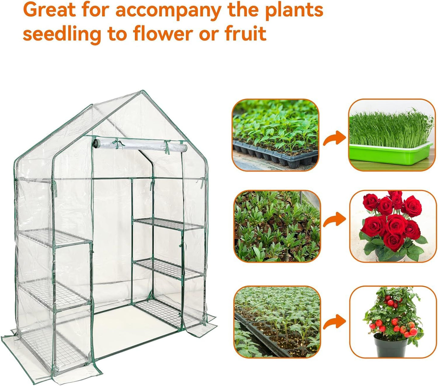 Walk in Greenhouse with 3 Tier 6 Shelves,2 More Bottom Shelves Reinforced Plant House,Steel Frame Growhouse/Green House for Outdoor,PVC Cover 143x73x195cm