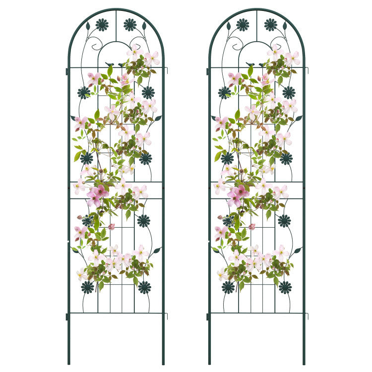 2 Pack 71 x 20 Inches Metal Garden Trellis Rustproof Plant Support for Climbing Plants