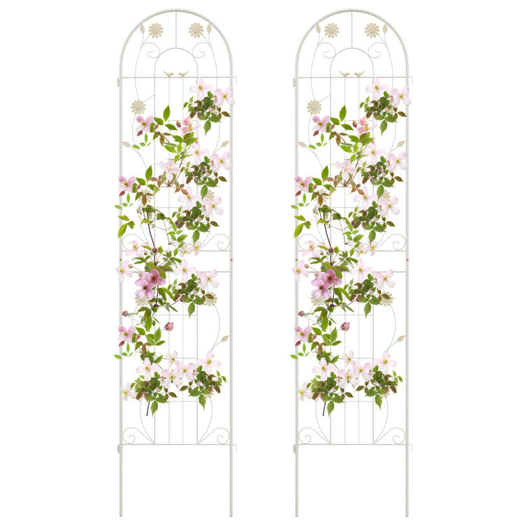 2 Pack 86.5 x 20 Inches Metal Garden Trellis for Climbing Plants