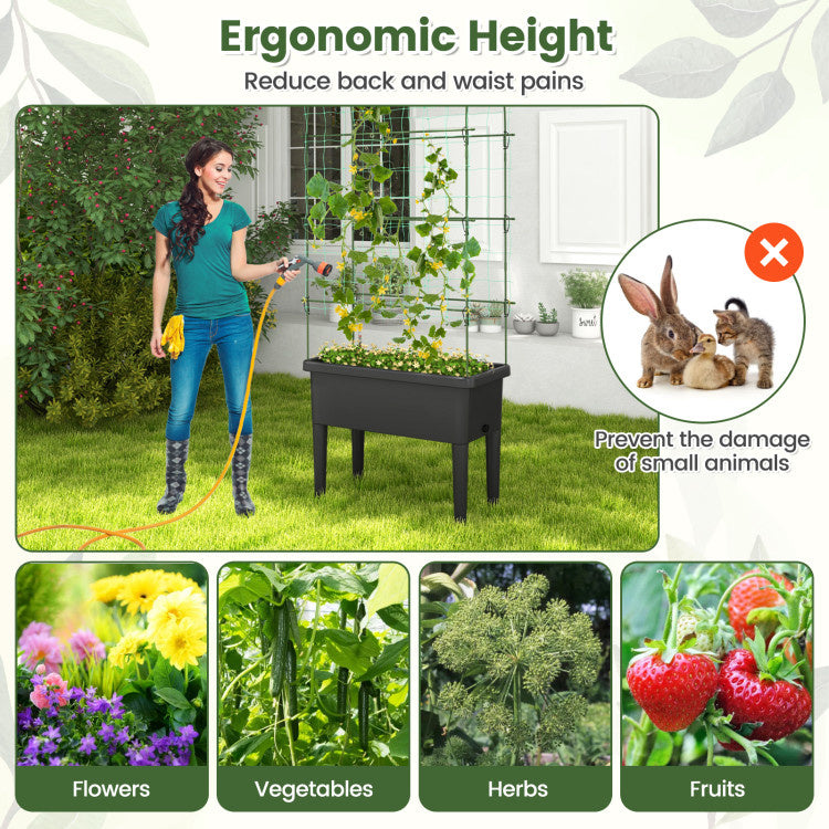 Self-watering Raised Garden Bed Elevated Planter with Climbing Trellis
